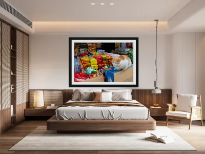 Cat sitting on boxes in Hanoi market during daytime Reproduction