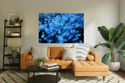 Methane Bubbles on Abraham Lake Reproduction