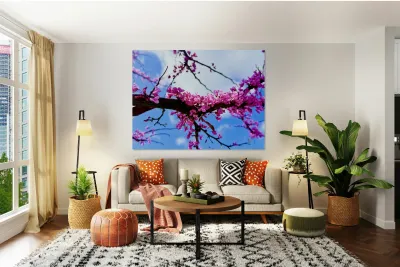 IMG 1703 Reproduction