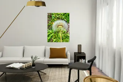 IMG 1757 Reproduction