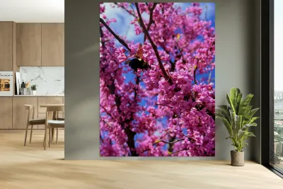 IMG 1659 Reproduction