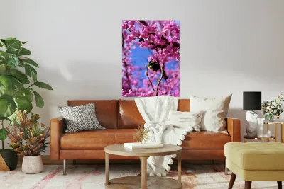 IMG 1648 Reproduction