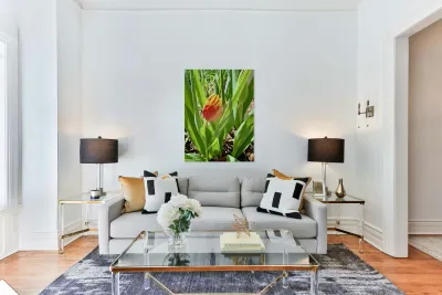 IMG 1605 Reproduction