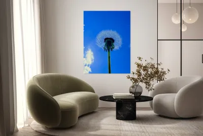 IMG 1762 Reproduction