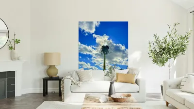 IMG 1755 Reproduction