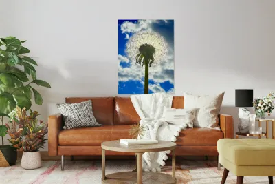 IMG 1743 Reproduction