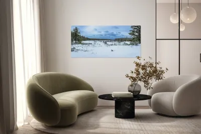 Winter Expanse Reproduction