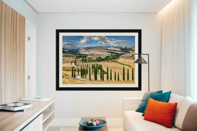 Cypress trees line winding road in Val dOrcia Tuscany Reproduction