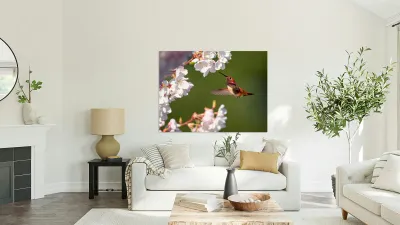 Afternoon Delight Reproduction