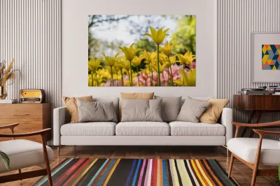 SBP6341 Reproduction