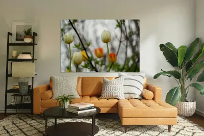 SBP8335 Reproduction