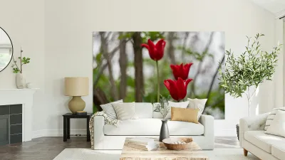 SBP8333 Reproduction