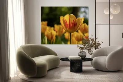 SBP6416 Reproduction