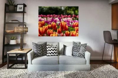 SBP6328 Reproduction