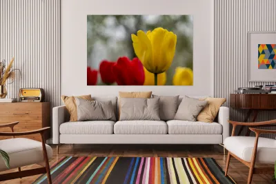 SBP5634 Reproduction