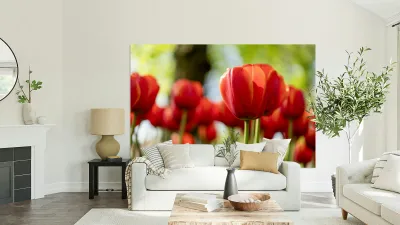 SBP6265 Reproduction