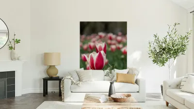 SBP6643 Reproduction