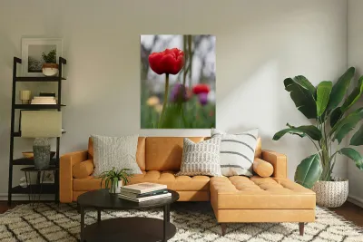 SBP6703 Reproduction