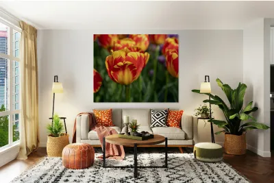 SBP6472 Reproduction