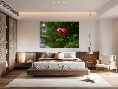 SBP8211 Reproduction