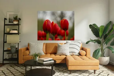 SBP5624 Reproduction