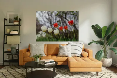 SBP8417 Reproduction