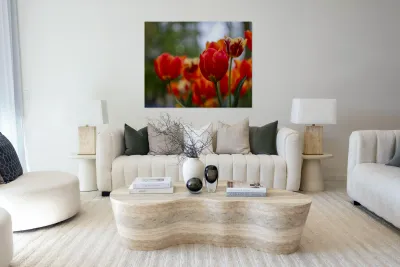 SBP5782 Reproduction