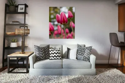 SBP6658 Reproduction