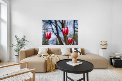 SBP6537 Reproduction