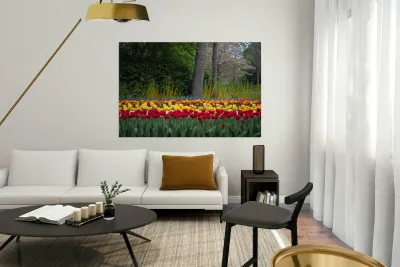 SBP5724 Reproduction