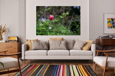 SBP8207 Reproduction