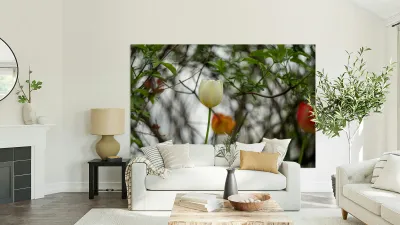 SBP8285 Reproduction