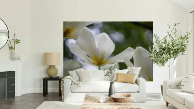 SBP5705 Reproduction