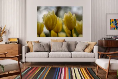 SBP5684 Reproduction