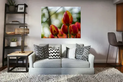 SBP6235 Reproduction