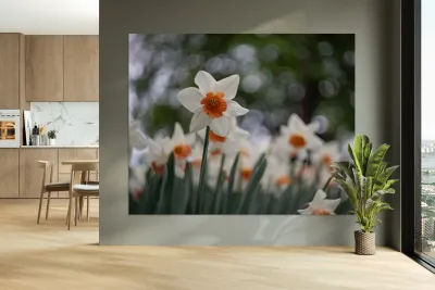 SBP5823 Reproduction