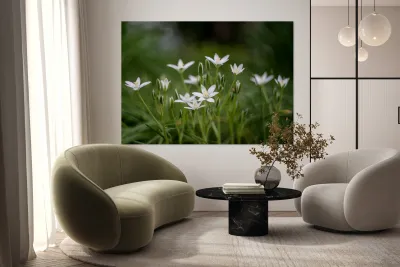 SBP8139 Reproduction