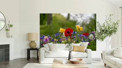 SBP5871 Reproduction