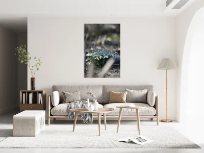 SBP4917 Reproduction