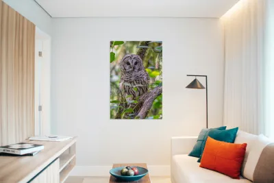 Observant Reproduction