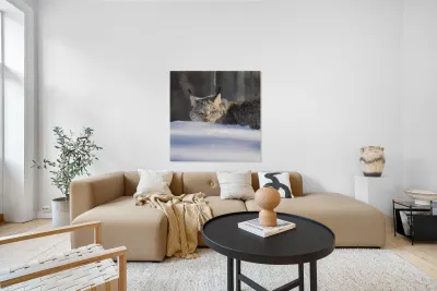 Glint In The Eye Reproduction