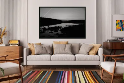 Harrie Lake Labrador Reproduction