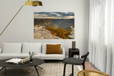 Raven Rock overlooks forest at Coopers Rock Reproduction