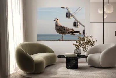 Seagull on promenade in Brighton Reproduction