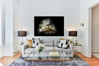 Macro photo of swamp milkweed seed pod Reproduction