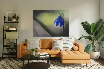 Tiny Blue Umbrella Reproduction