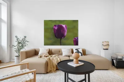 Early Morning Reproduction