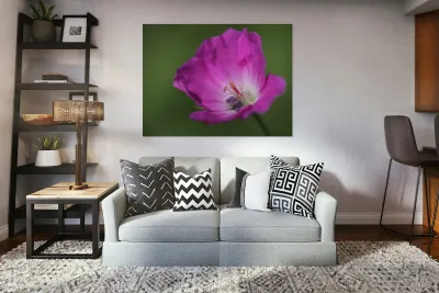 The Heart Of It Reproduction