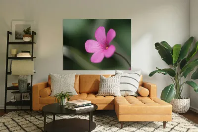 Splash Of Color Reproduction