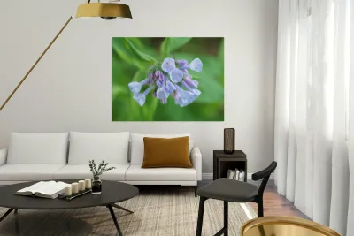 Little Bells Reproduction